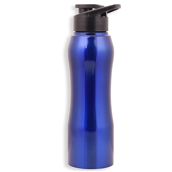 PEXPO Stainless Steel Water Bottle Sipper 750 ML
