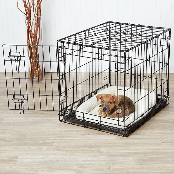 AmazonBasics Single Door Folding Metal Dog Crate